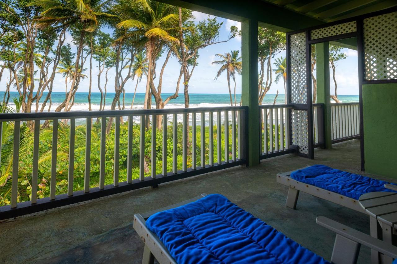 Rosalie Bay Eco Resort & Spa Kültér fotó